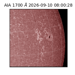 saia - 2026-09-10T08:00:28.716000