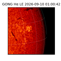 gong - 2026-09-10T01:00:42