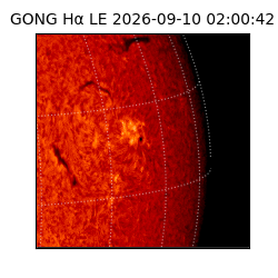 gong - 2026-09-10T02:00:42