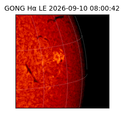 gong - 2026-09-10T08:00:42