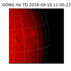 gong - 2026-09-10T11:00:22