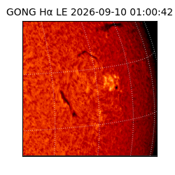 gong - 2026-09-10T01:00:42