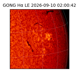 gong - 2026-09-10T02:00:42