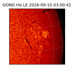 gong - 2026-09-10T03:00:42
