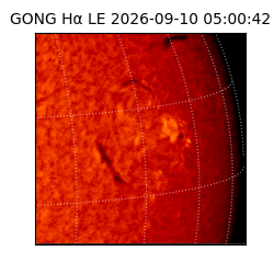 gong - 2026-09-10T05:00:42
