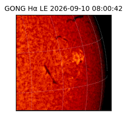gong - 2026-09-10T08:00:42