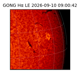 gong - 2026-09-10T09:00:42