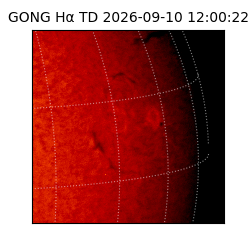 gong - 2026-09-10T12:00:22