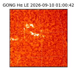 gong - 2026-09-10T01:00:42