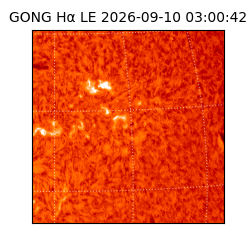 gong - 2026-09-10T03:00:42