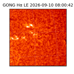 gong - 2026-09-10T08:00:42