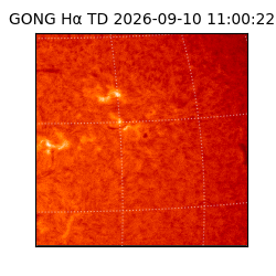 gong - 2026-09-10T11:00:22