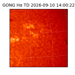gong - 2026-09-10T14:00:22