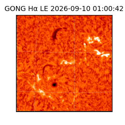 gong - 2026-09-10T01:00:42