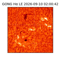 gong - 2026-09-10T02:00:42