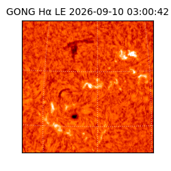 gong - 2026-09-10T03:00:42