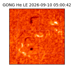 gong - 2026-09-10T05:00:42
