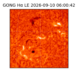 gong - 2026-09-10T06:00:42