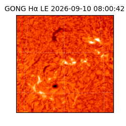 gong - 2026-09-10T08:00:42