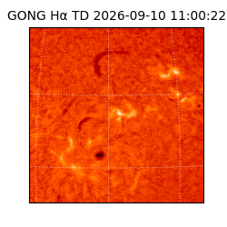 gong - 2026-09-10T11:00:22