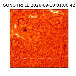 gong - 2026-09-10T01:00:42