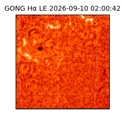 gong - 2026-09-10T02:00:42