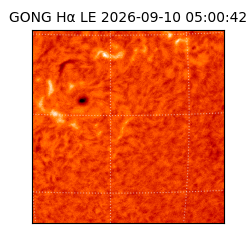 gong - 2026-09-10T05:00:42