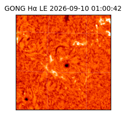 gong - 2026-09-10T01:00:42