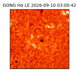 gong - 2026-09-10T03:00:42