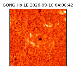 gong - 2026-09-10T04:00:42