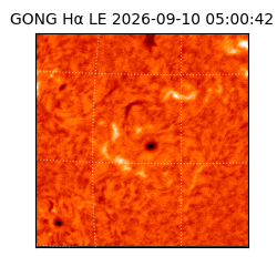 gong - 2026-09-10T05:00:42
