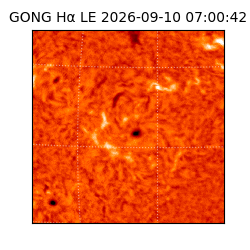 gong - 2026-09-10T07:00:42