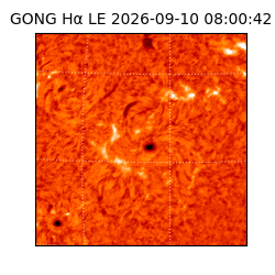 gong - 2026-09-10T08:00:42