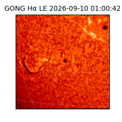 gong - 2026-09-10T01:00:42