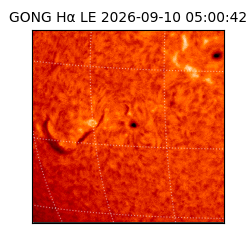 gong - 2026-09-10T05:00:42