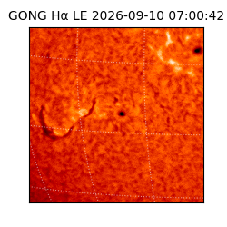 gong - 2026-09-10T07:00:42
