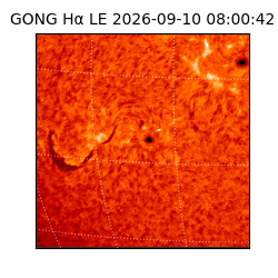 gong - 2026-09-10T08:00:42