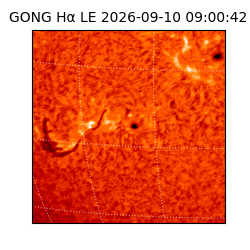 gong - 2026-09-10T09:00:42