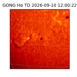 gong - 2026-09-10T12:00:22