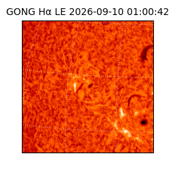 gong - 2026-09-10T01:00:42