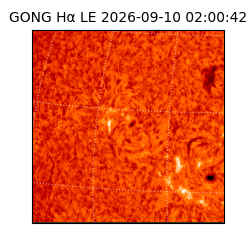 gong - 2026-09-10T02:00:42
