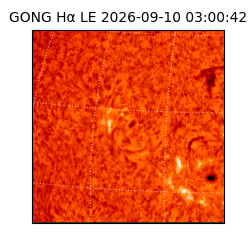 gong - 2026-09-10T03:00:42