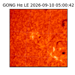 gong - 2026-09-10T05:00:42