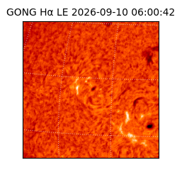 gong - 2026-09-10T06:00:42