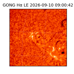 gong - 2026-09-10T09:00:42