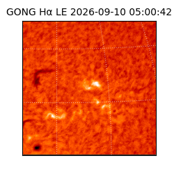 gong - 2026-09-10T05:00:42
