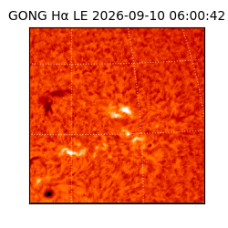 gong - 2026-09-10T06:00:42