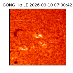 gong - 2026-09-10T07:00:42