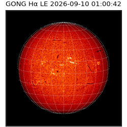 gong - 2026-09-10T01:00:42