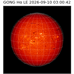 gong - 2026-09-10T03:00:42